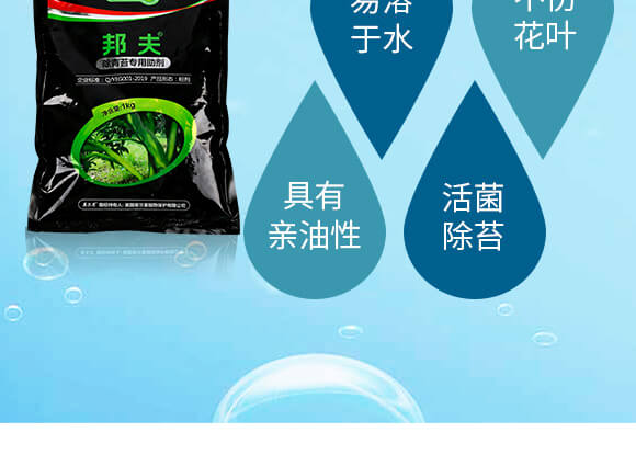 ����̦��������-���-Ӣ����_05