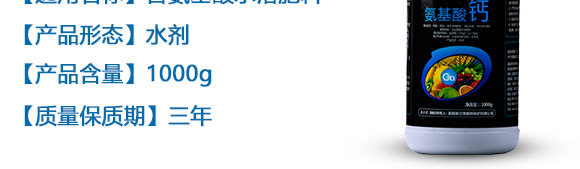 �������}-Ӣ����_05