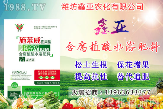 糧食漲價！20209月17日小麥價格行情如何？