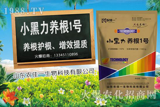 甜椒種植時(shí)如何選用肥料，甜椒施肥方法有哪些？