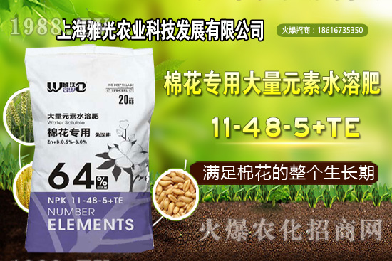 ��ʲô�r(sh��)��Nֲ�������༼�g(sh��)Ҫ�c(di��n)��