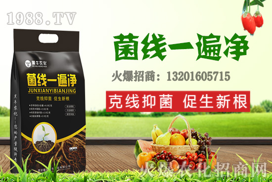 9��19��С���r(ji��)��������q�����F(xi��n)��