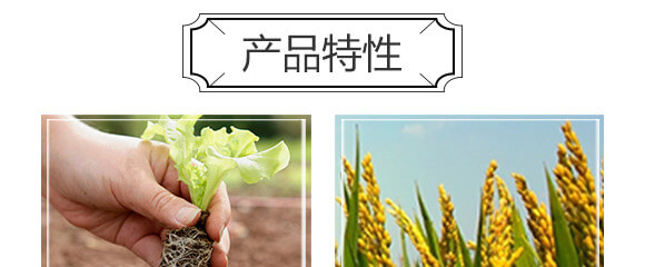 ���f(w��n)�С�����b_04