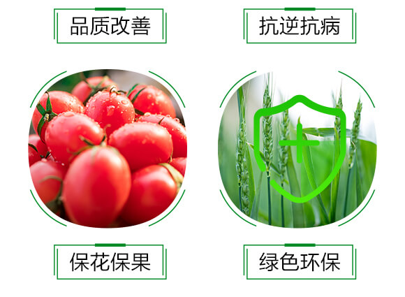 1000ml��������ˎ��-������-�t��_06