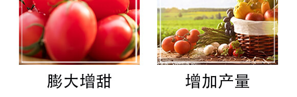 �����r��ጷ���28-12-12-�и���ʢ_06