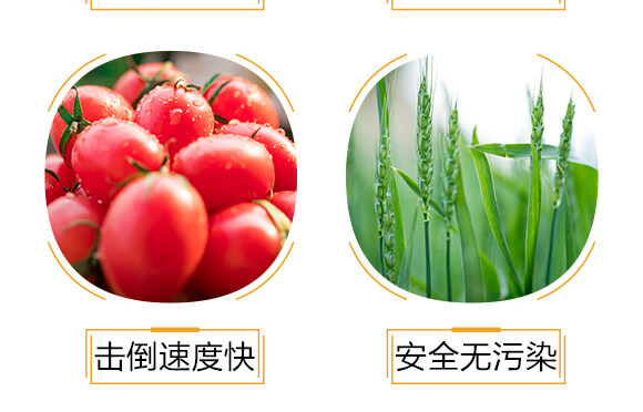 �M(j��n)�ڌ��Ú�������-���-�����r(n��ng)_06