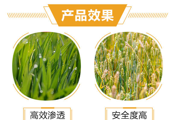 500ml�M�ڌ��Ú�������-�ߵ�-�����r_05