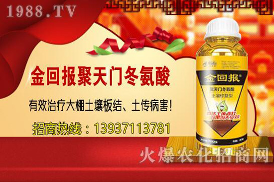 ���w�������cС�w����ɶ��ͬ������ԓ�x��һ�N��