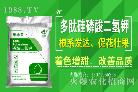 �۲˵ă�(y��u)��Ʒ�N����Щ���۲˷Nֲ���L�h(hu��n)�������Nֲ���g(sh��)��