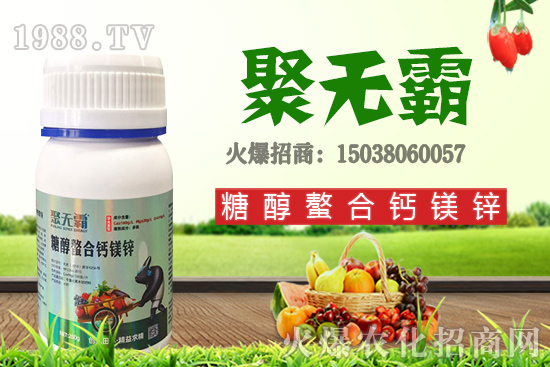 沙糖桔苗多少錢一棵？沙糖桔什么時候結(jié)果？栽培要點(diǎn)有哪些？