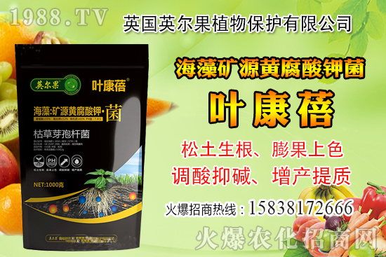 怎么判斷玉米含水量？玉米籽粒含水量感官判定經(jīng)驗(yàn)！