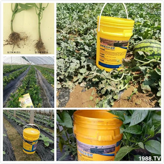 水溶肥市場大變革?。亢Ｔ寰?、魚蛋白將被它代替！1000多用戶鼎力推薦！