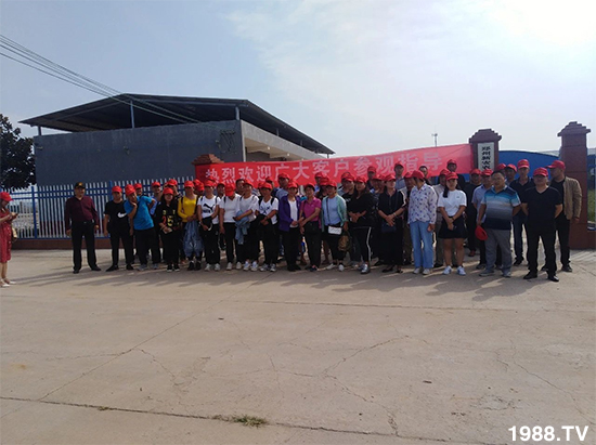 水溶肥市場大變革??？海藻精、魚蛋白將被它代替！1000多用戶鼎力推薦！