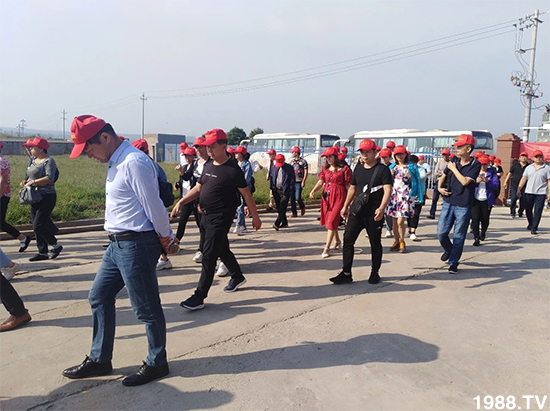 水溶肥市場大變革??？海藻精、魚蛋白將被它代替！1000多用戶鼎力推薦！