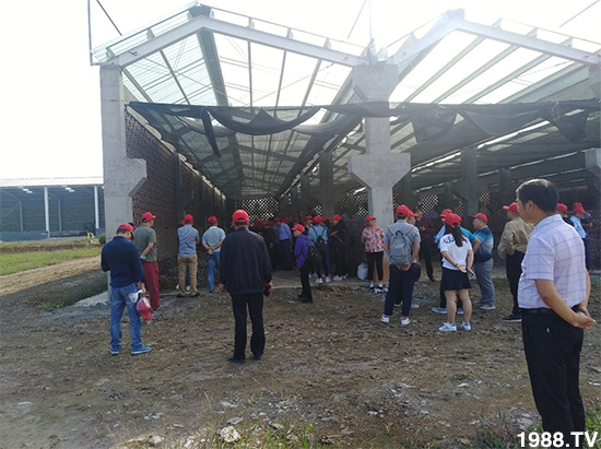 水溶肥市場大變革！？海藻精、魚蛋白將被它代替！1000多用戶鼎力推薦！