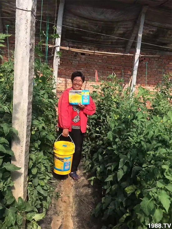 水溶肥市場大變革??？海藻精、魚蛋白將被它代替！1000多用戶鼎力推薦！