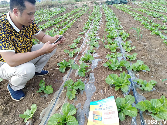 水溶肥市場大變革??？海藻精、魚蛋白將被它代替！1000多用戶鼎力推薦！