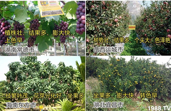 水溶肥市場大變革?。亢Ｔ寰?、魚蛋白將被它代替！1000多用戶鼎力推薦！