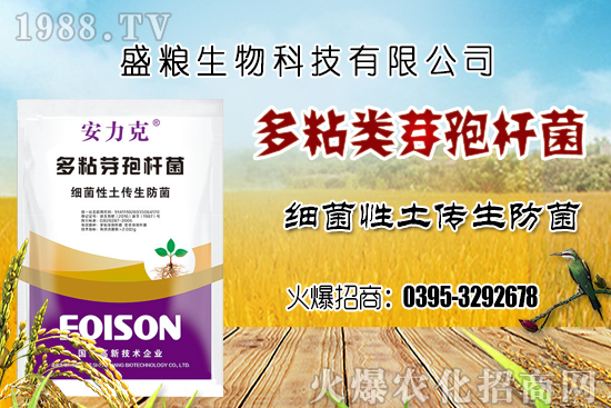 車厘子種植環(huán)境要求有哪幾點？車厘子良種選擇及良種套種！