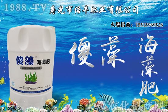 �Ј��𲽻ؚw�������������󶹃r��_�߻��䣡