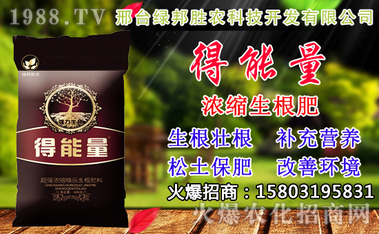 2020��С���N������x���߮a(ch��n)С��Ʒ�N����Щ��