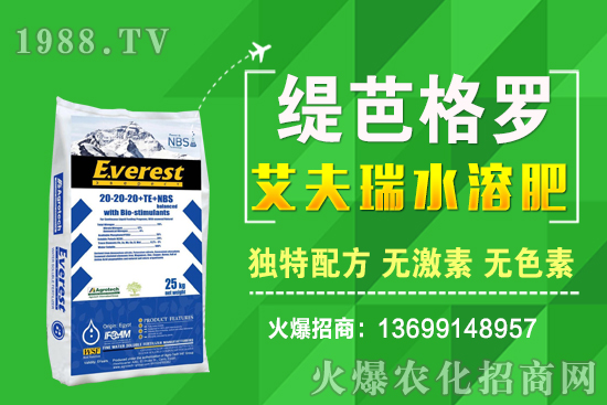 С���r��q����ʮ��С�������A�y��