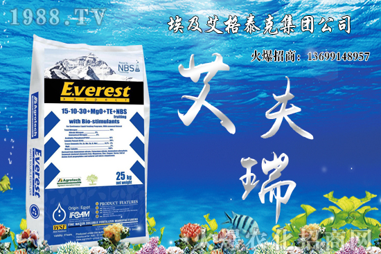 火龍果栽培要點(diǎn)有哪些？火龍果田間管理及病蟲害防治！