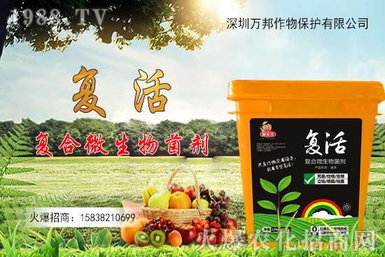 ���������ԷN������M(j��n)�й�������ʲô����Ҫ�c(di��n)��