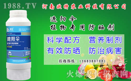 �R������Ժ���Щ�����׷N���R����׷Nģʽ��ʲô��̎��