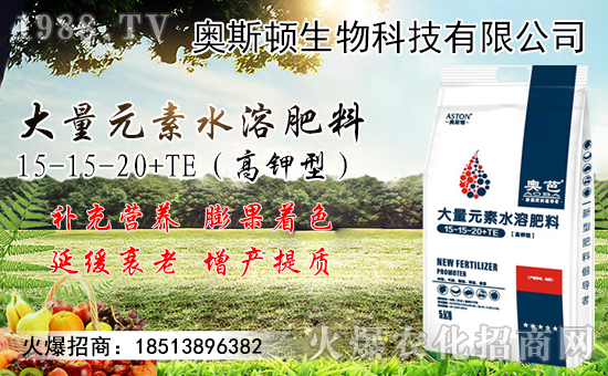 9月小麥?zhǔn)袌鲂星轭A(yù)測！附近期小麥?zhǔn)召弮r(jià)格！