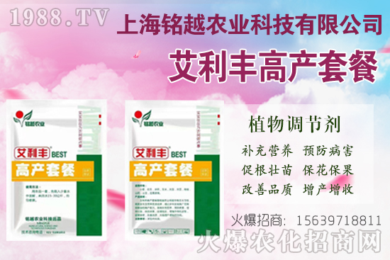 �޻�������ʲô����(ji��)�������F(xi��n)���}����Щ���޻������ڹ���Ҫ�c(di��n)��