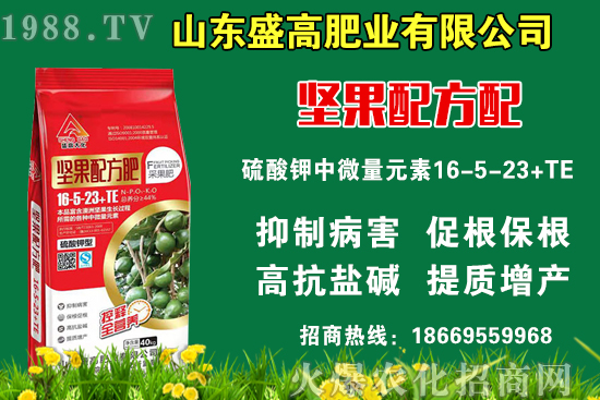 小麥價格還要上漲嗎？9月9日國內(nèi)小麥價格行情！