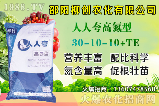 金銀花樹苗怎么種？金銀花樹苗種植技術(shù)及田間管理！