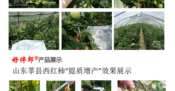 �ð���-�̩_13