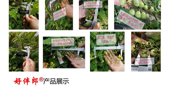 �ð���-�̩_14