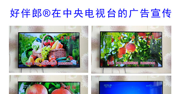 �ð���-�̩_11