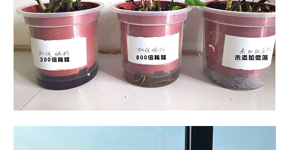 ΢��ԭҺ-һ�n��-�̩_15