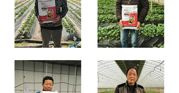 ����Ԫ��ˮ�ܷ�20-20-20+TE-һ����΢��-�̩_11