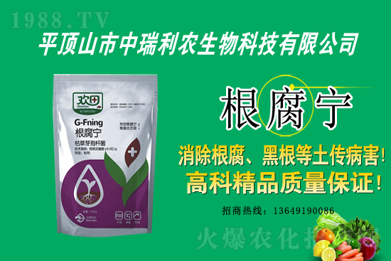 ��ɭ�~�������r(ji��)������2021.1.16