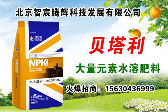 2020��Nʲôˎ����ٍ�X���Nֲˎ�����a(b��)�N������Щˎ���зNֲǰ����