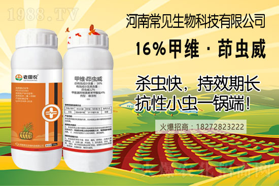 土豆幾月份種合適？（附如種植方法及田間管理）