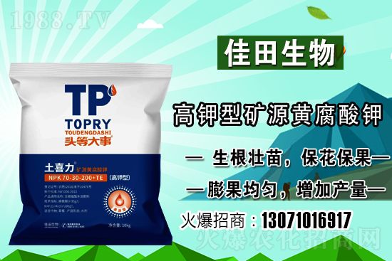 雪梨該怎樣種植？雪梨的種植時(shí)間和方法！