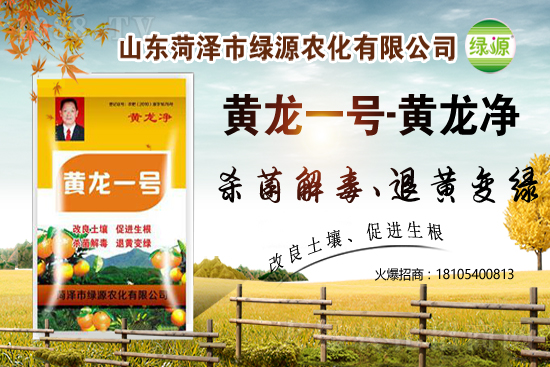 ���z�䚢�����r������2021��2��13��