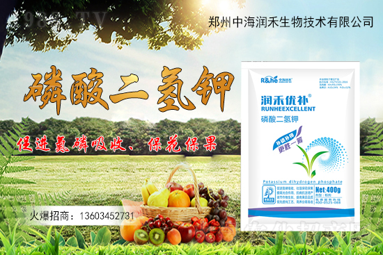 ����һ���굽��ԓ��ôʩ��������ʩ��ע�����(xi��ng)����Щ��