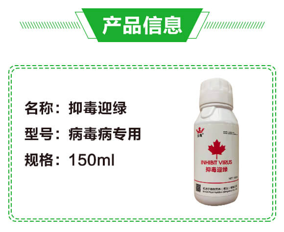 抑毒迎綠（專治病毒病）-綠肥_02