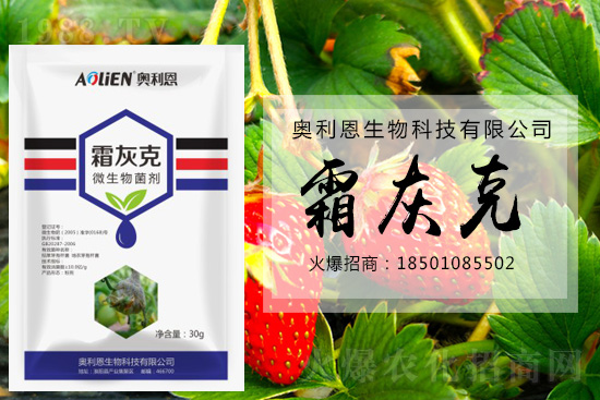 ������ݮ�װl(f��)��ù�����A(y��)����ʩ��ô����