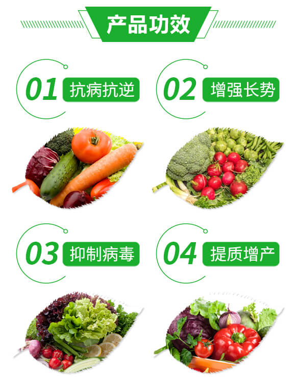 抑毒迎綠（專治病毒?。?綠肥_03