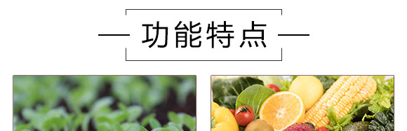 ��������-Ӣ���~��_05