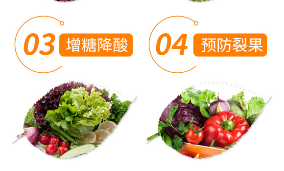 ΢�������-���S��-���R�S_06