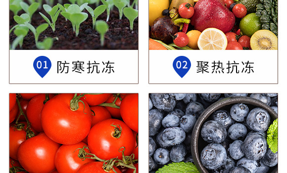 ֲ�￹��������-Ӣ���~��_06